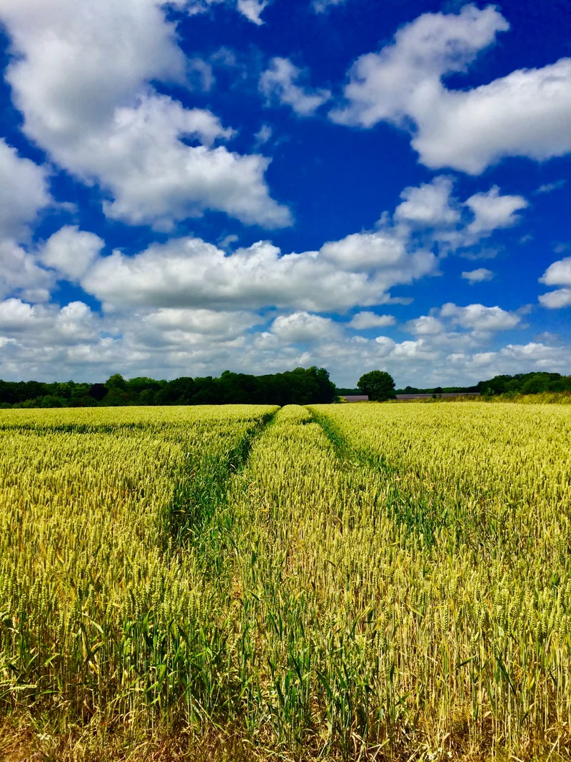 Cultivate Farms - You Can Own a Farm Guide
